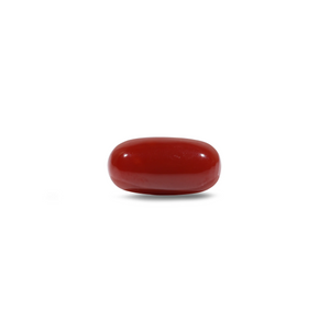Japanese Red Coral - 6.05 Carat - Pramogh