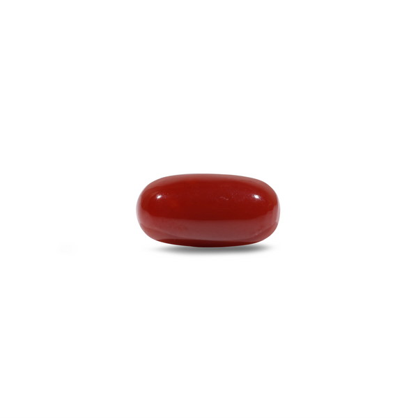 Japanese Red Coral - 6.05 Carat - Pramogh