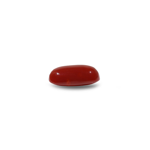 Japanese Red Coral - 6.05 Carat