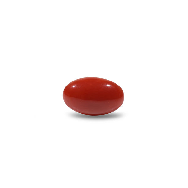 Japanese Red Coral - 5.5 Carat - Pramogh