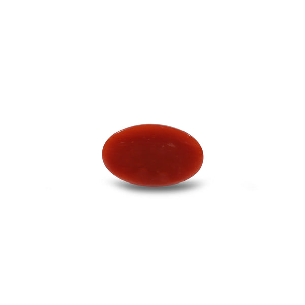 Japanese Red Coral - 5.5 Carat