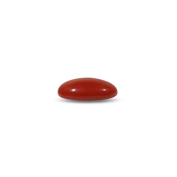 Japanese Red Coral - 5.5 Carat