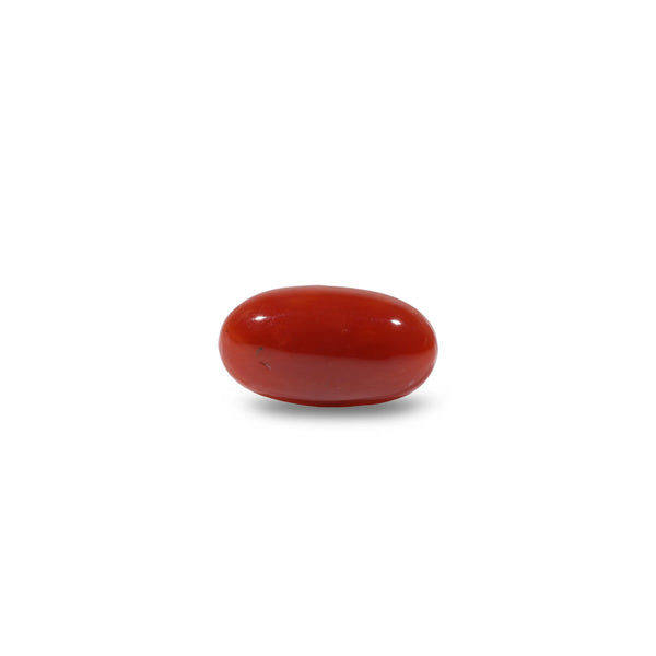 Japanese Red Coral - 4.65 Carat - Pramogh
