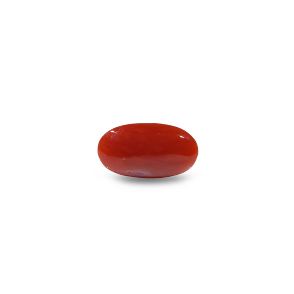 Japanese Red Coral - 4.65 Carat