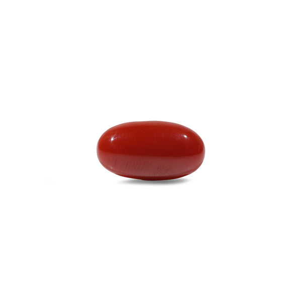 Japanese Red Coral - 5.4 Carat - Pramogh