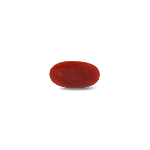 Japanese Red Coral - 5.4 Carat