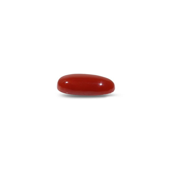 Japanese Red Coral - 5.4 Carat