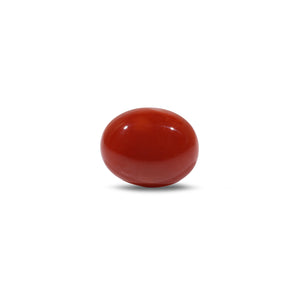 Japanese Red Coral - 5.45 Carat - Pramogh