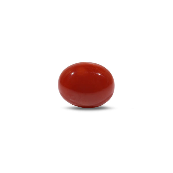 Japanese Red Coral - 5.45 Carat - Pramogh