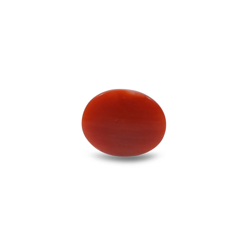 Japanese Red Coral - 5.45 Carat