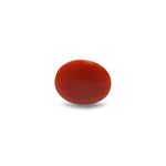 Japanese Red Coral - 5.45 Carat