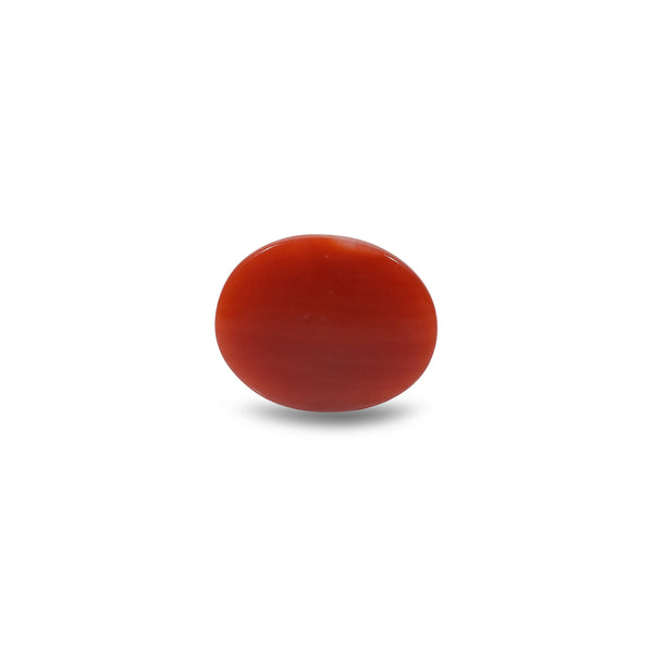 Japanese Red Coral - 5.45 Carat