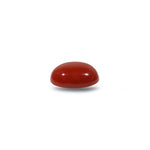 Japanese Red Coral - 5.45 Carat