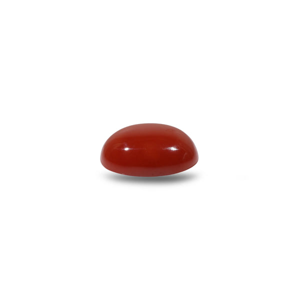 Japanese Red Coral - 5.45 Carat