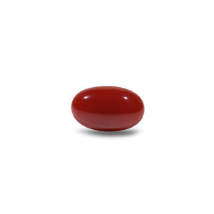 Japanese Red Coral - 4.5 Carat - Pramogh