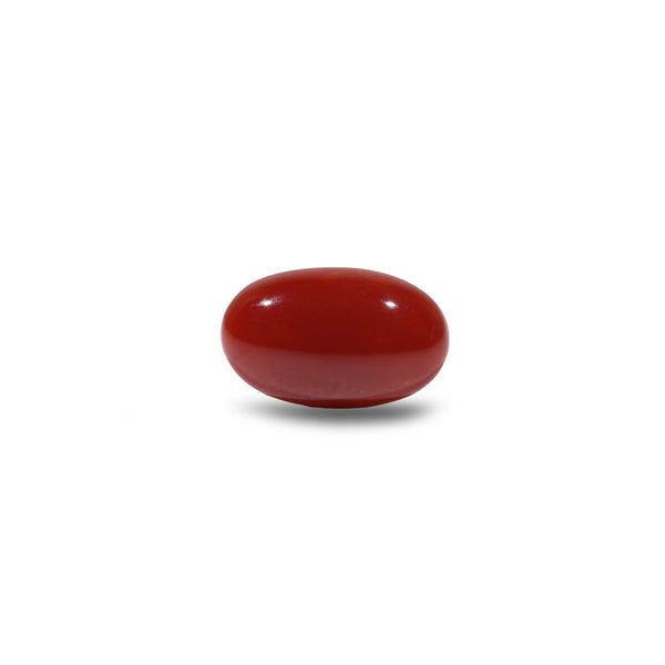 Japanese Red Coral - 4.5 Carat - Pramogh