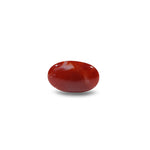 Japanese Red Coral - 4.5 Carat