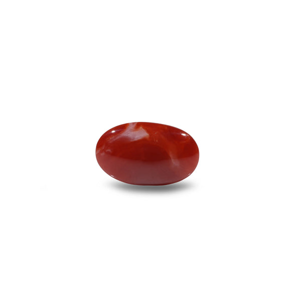 Japanese Red Coral - 4.5 Carat