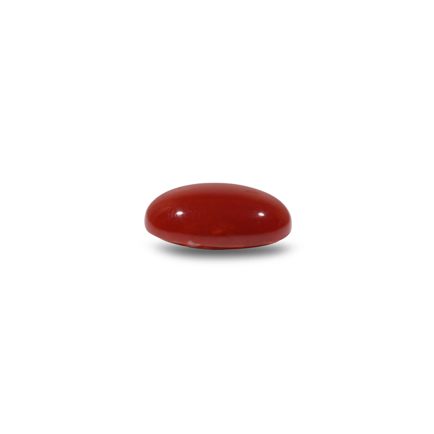 Japanese Red Coral - 4.5 Carat
