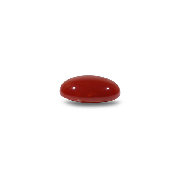 Japanese Red Coral - 4.5 Carat