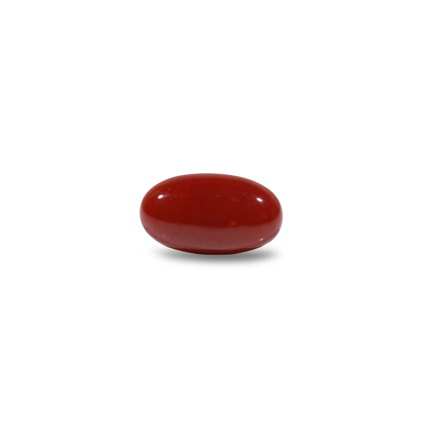 Japanese Red Coral - 6.2 Carat - Pramogh