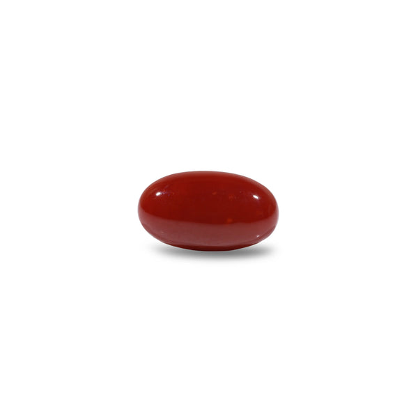 Japanese Red Coral - 6.2 Carat - Pramogh