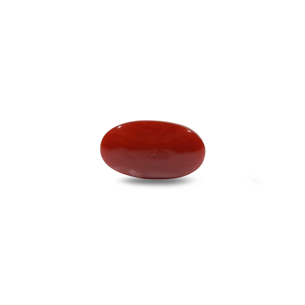 Japanese Red Coral - 6.2 Carat