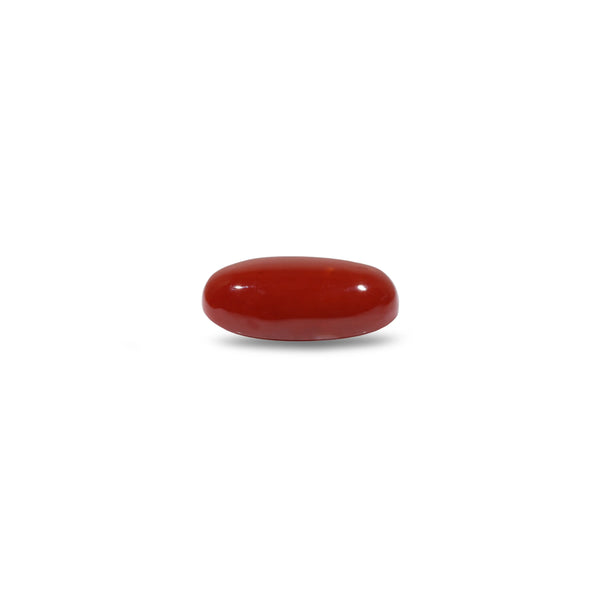 Japanese Red Coral - 6.2 Carat