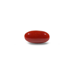 Japanese Red Coral - 6 Carat - Pramogh
