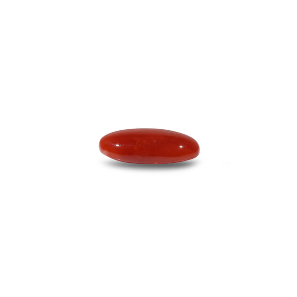 Japanese Red Coral - 6 Carat