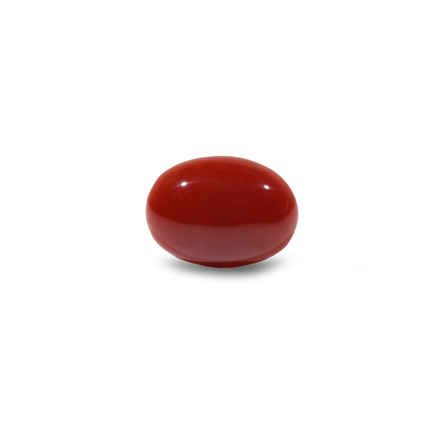 Japanese Red Coral - 4.4 Carat - Pramogh