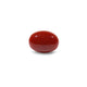 Japanese Red Coral - 4.4 Carat - Pramogh