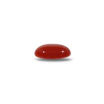 Japanese Red Coral - 4.4 Carat