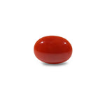 Japanese Red Coral - 4.95 Carat - Pramogh