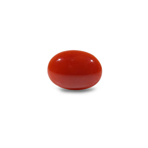 Japanese Red Coral - 4.95 Carat - Pramogh