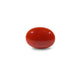 Japanese Red Coral - 4.95 Carat - Pramogh
