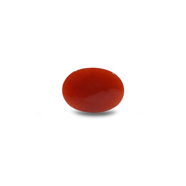 Japanese Red Coral - 4.95 Carat