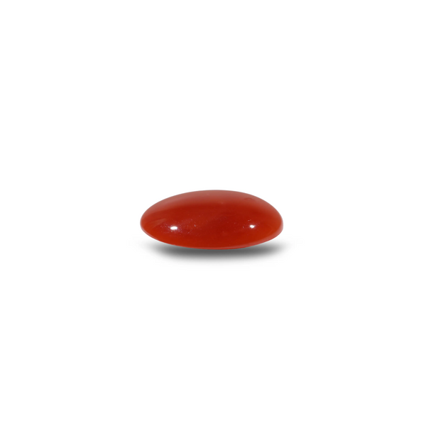 Japanese Red Coral - 4.95 Carat