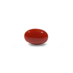 Japanese Red Coral - 6.3 Carat - Pramogh