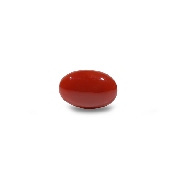 Japanese Red Coral - 6.3 Carat - Pramogh