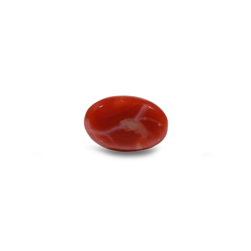 Japanese Red Coral - 6.3 Carat