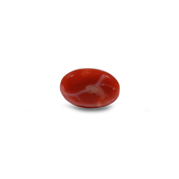 Japanese Red Coral - 6.3 Carat