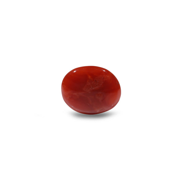 Japanese Red Coral - 4.65 Carat