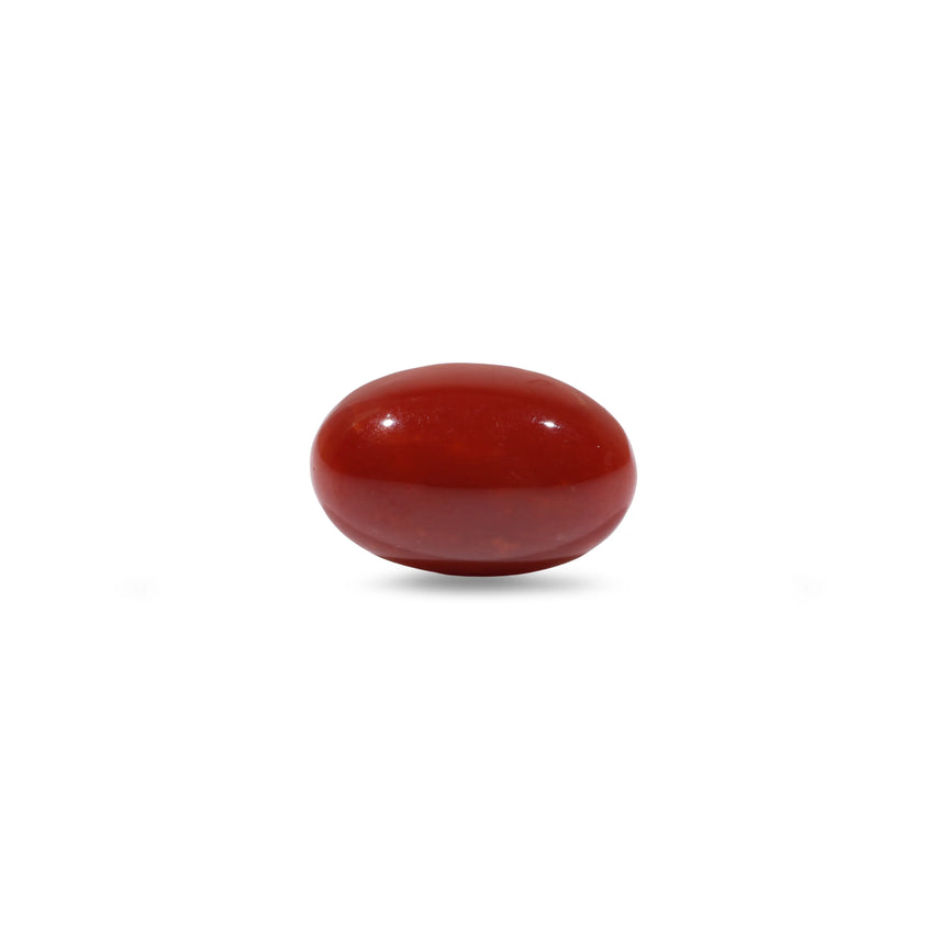 Japanese Red Coral - 5.1 Carat - Pramogh