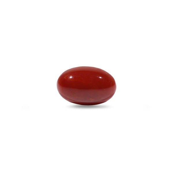 Japanese Red Coral - 5.1 Carat - Pramogh