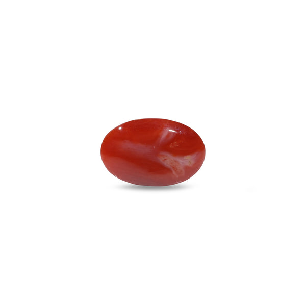 Japanese Red Coral - 5.1 Carat