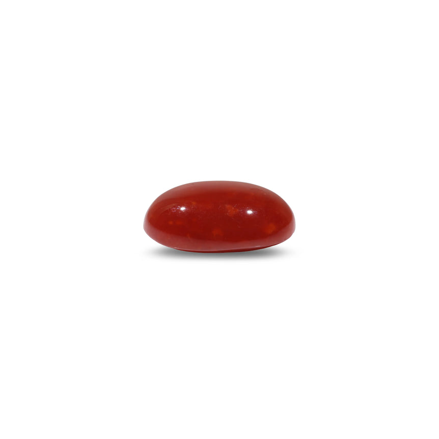 Japanese Red Coral - 5.1 Carat