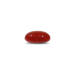 Japanese Red Coral - 5.1 Carat