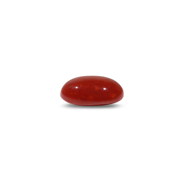 Japanese Red Coral - 5.1 Carat