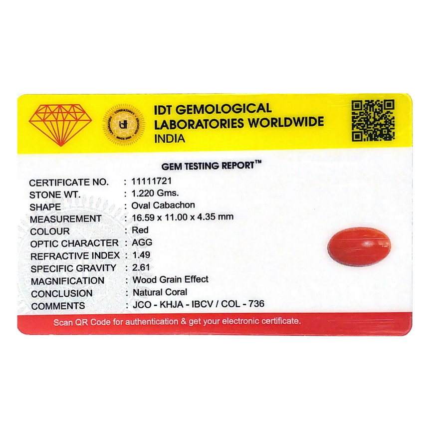 Japanese Red Coral - 6.1 Carat